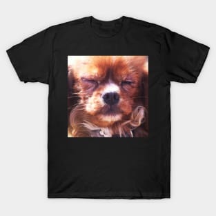 Golden Cavalier puppy T-Shirt